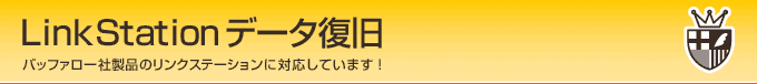 バッファロー製品 リンクステーション専用データ復旧 山梨